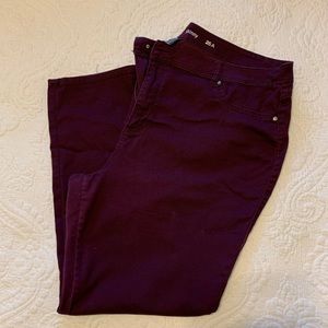 Avenue Denim Fuschia Jeans